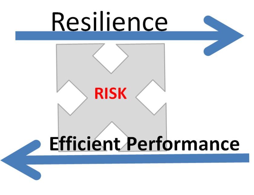 riskresilience