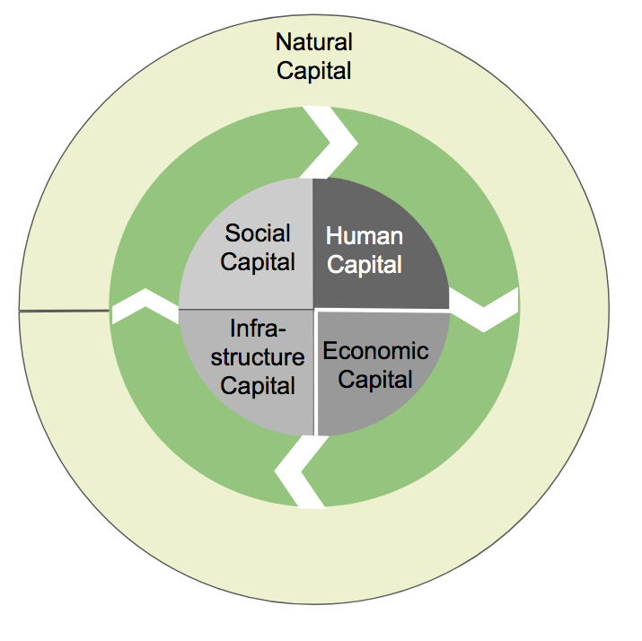 Regional progress towards circular economy in&nbsp;Sweden